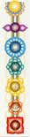 Poster: 7 Chakra