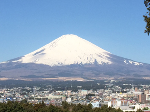 M. G. Satchidananda and participants in a 3rd level Kriya Yoga initiation seminar at the YMCA camp in view of Mt. Fuji, Japan, March 19-25, 	2015 - 2 (cliquez pour agrandir)