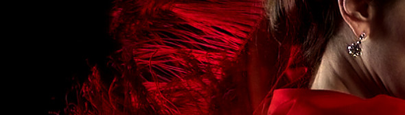 Flamencoschule Surya in D&uuml;sseldorf